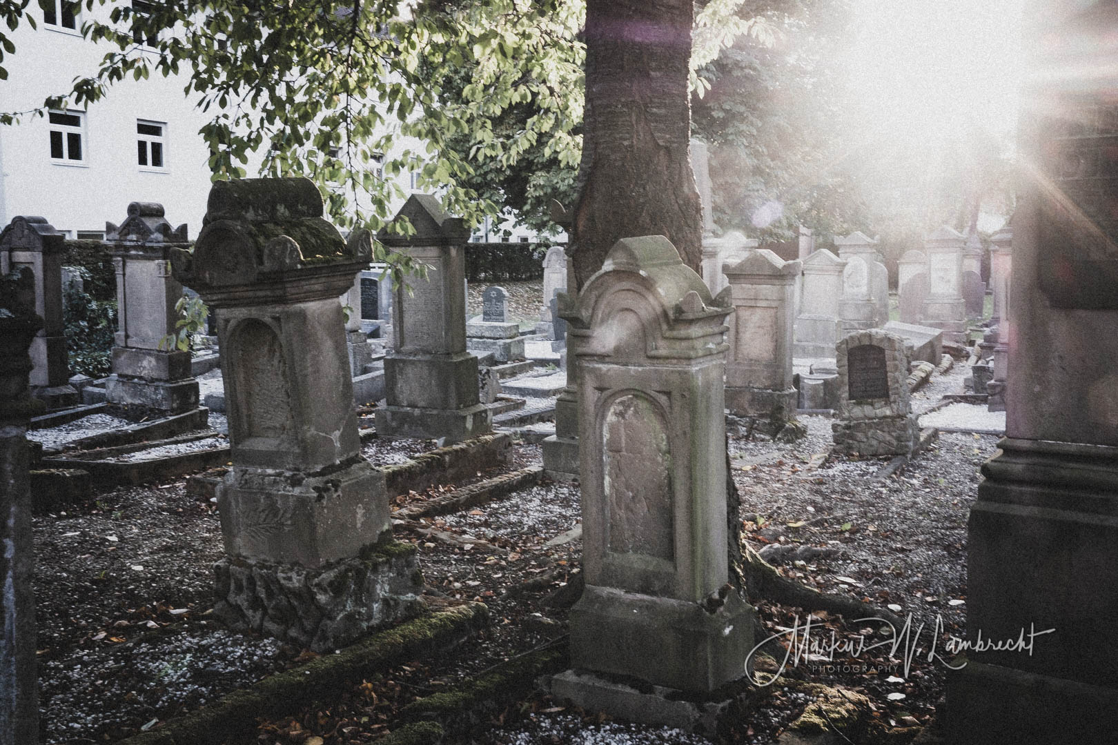 Nieheim, Jüdischer Friedhof